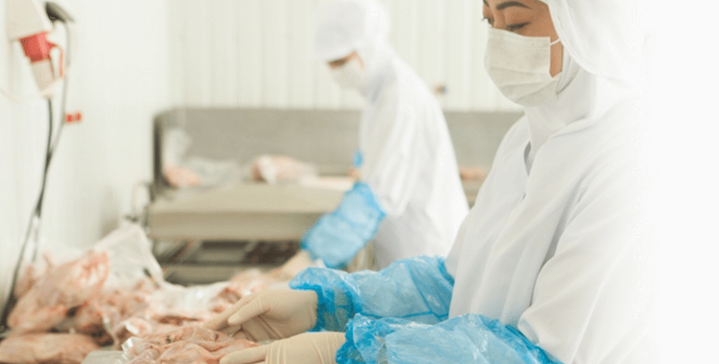 飲食料品製造業分野